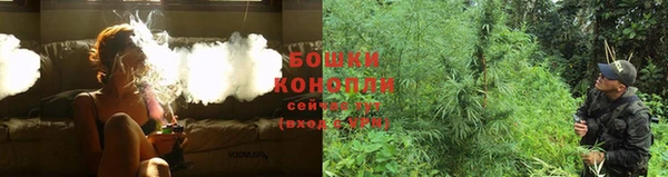 ешки Новокубанск