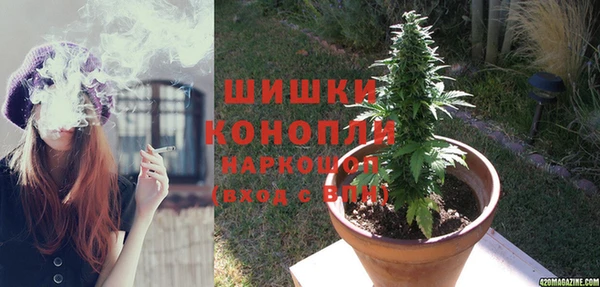 дмт Новозыбков
