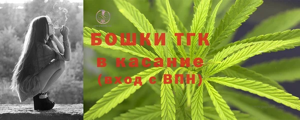 дмт Новозыбков