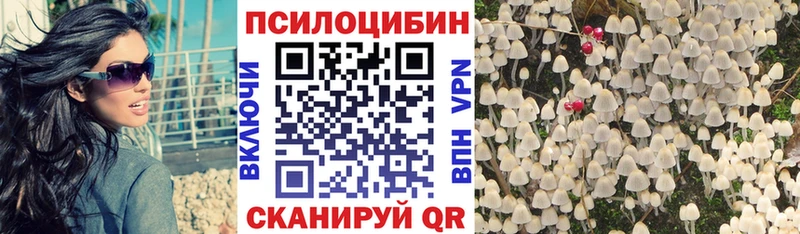 Галлюциногенные грибы прущие грибы  Купить где  Ясногорск 